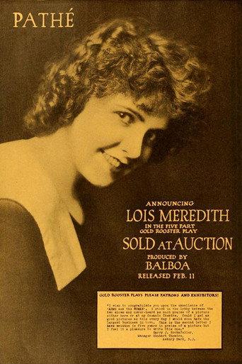 Sold at Auction (1917) poster