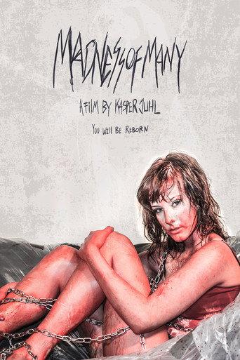 Madness of Many (2013) poster