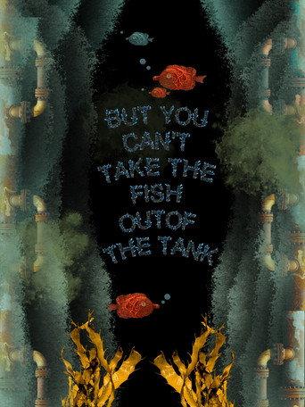 But You Can’t Take the Fish Out of the Tank () poster