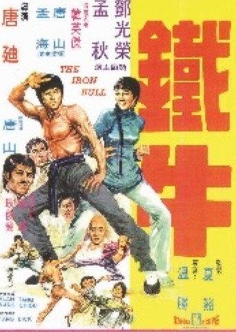 Iron Bull (1973) poster