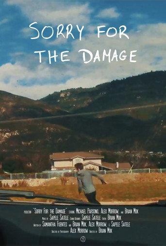 Sorry For the Damage (2016) poster