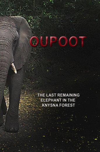 Oupoot (2021) poster