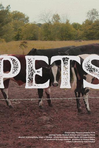 Pets (2025) poster
