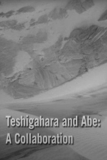 Teshigahara and Abe (2007) poster