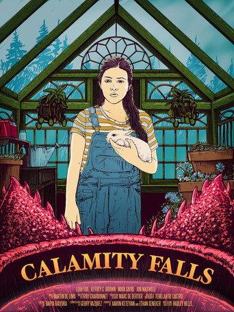 Calamity Falls (2018) poster