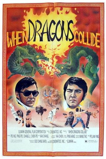 The Rendezvous of Warriors (1973) poster