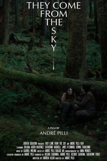 They Come From the Sky (2023) poster