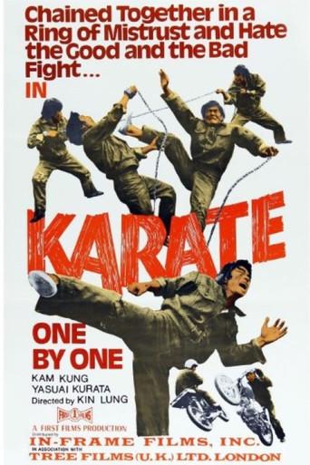 Kung Fu Powerhouse (1973) poster