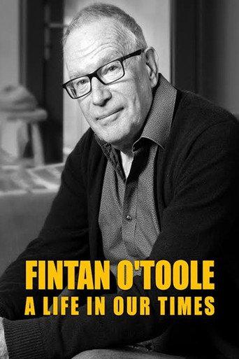Fintan O'Toole: A Life in Our Times () poster