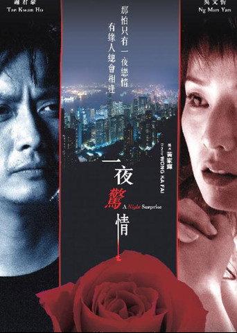 A Night Surprise (2007) poster