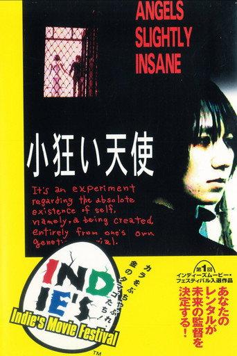 Angels Slightly Insane (1994) poster
