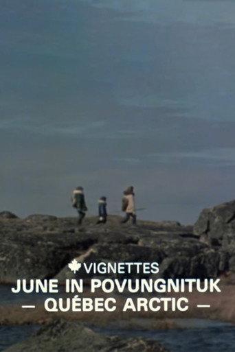 Canada Vignettes: June in Povungnituk - Quebec Arctic (1980) poster