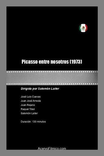 Picasso entre nosotros (1973) poster