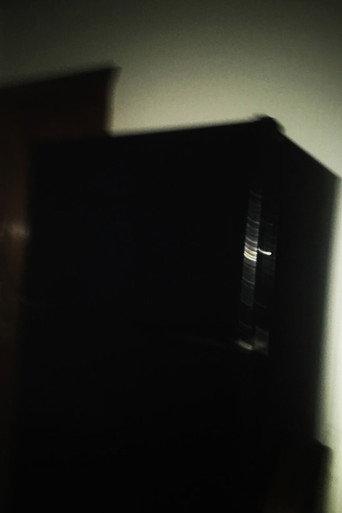 There's Something Wrong With My Freezer (2020) poster