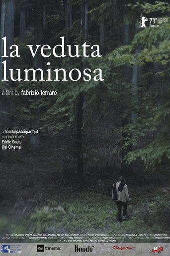 The Luminous View (2021) poster
