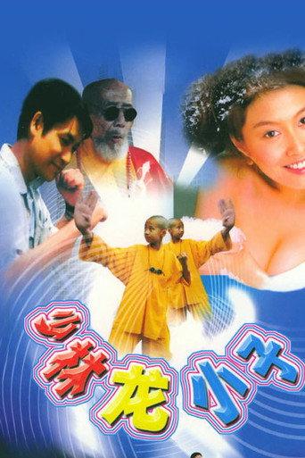 少林龙小子 (1995) poster