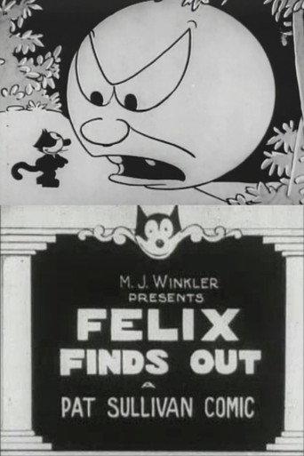 Felix Finds Out (1924) poster
