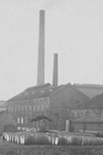 Royal Stearine Candle Factory Gouda (1918) poster