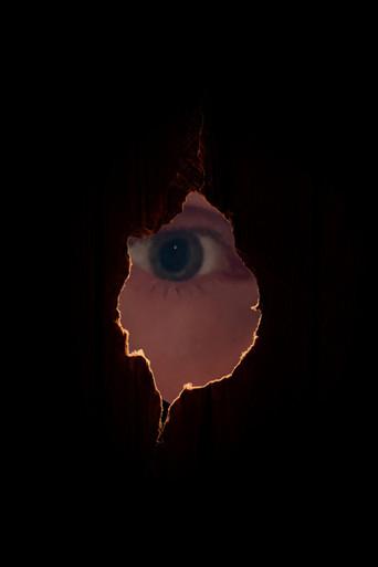 The Golden Monkey () poster