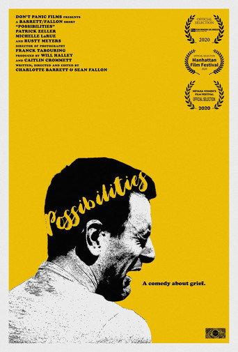 Possibilities () poster