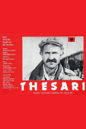 The Treasure (1981) poster
