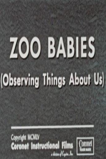 Zoo Babies (Observing Things About Us) (1955) poster