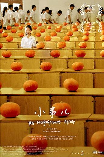 An Insignificant Affair (2020) poster