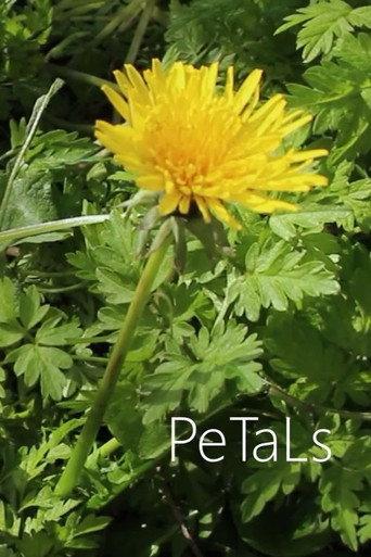 PeTaLs (2024) poster