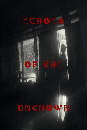 Echoes Of The Unknown (2024) poster