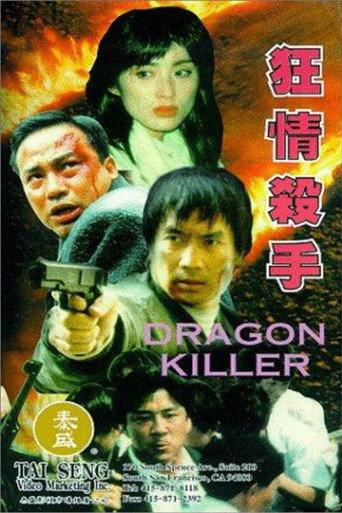 Dragon Killer (1995) poster