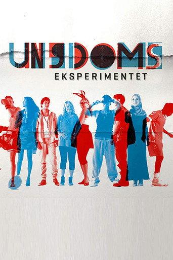 The Youth Experiment (2011) poster