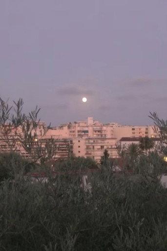 By the Olive Trees and the Moon (2024) poster