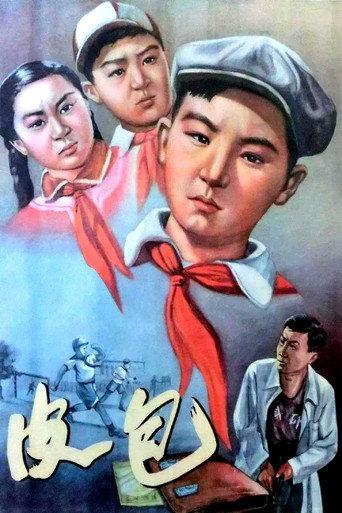 皮包 (1956) poster