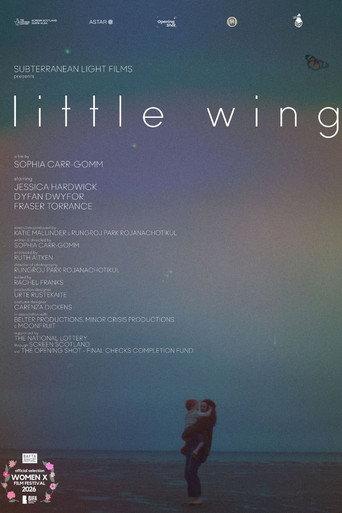 Little Wing (2026) poster