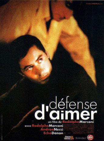 Love Forbidden (2002) poster