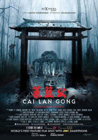 Cai Lan Gong (2015) poster