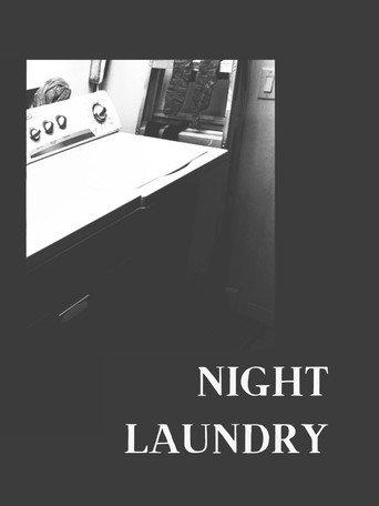 NIGHT LAUNDRY (2021) poster