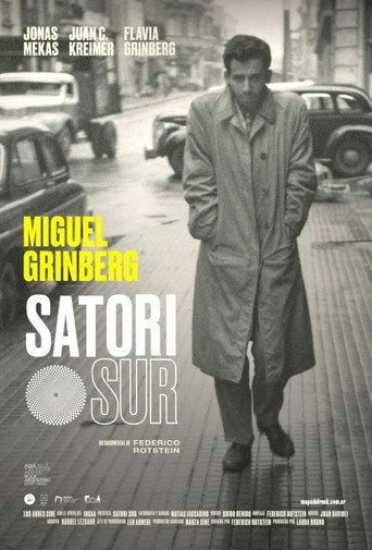 Satori Sur (2019) poster