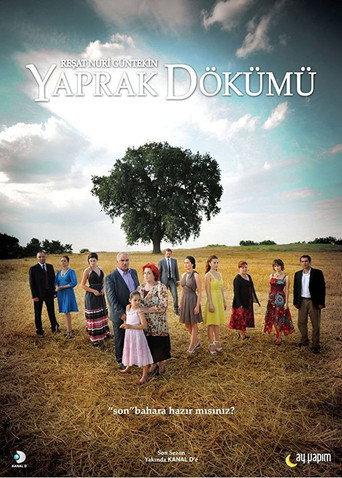 Yaprak Dökümü () poster