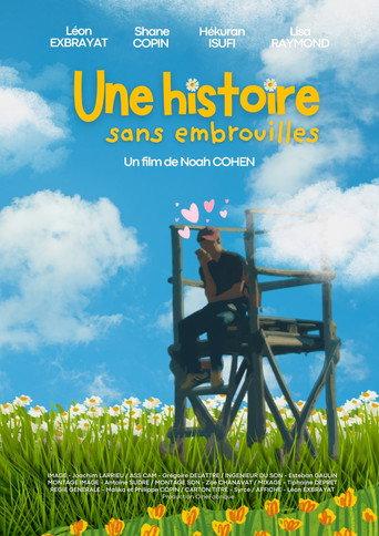 Une histoire sans embrouille () poster