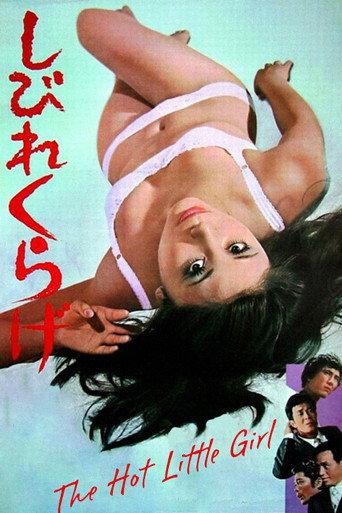 The Hot Little Girl (1970) poster