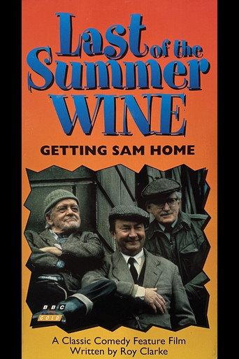 Getting Sam Home (1983) poster