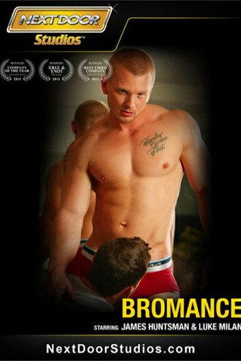 Bromance (2014) poster