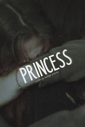Princess () poster