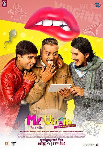 Mr. Virgin () poster