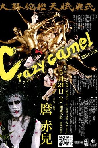 Crazy Camel (2012) poster