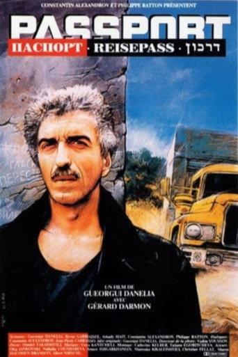 The Passport (1990) poster