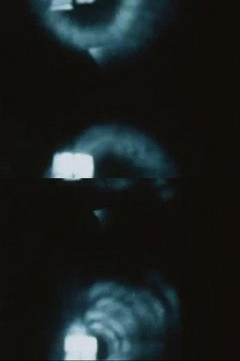 Pinhole Film (The Man Without a Movie Camera) (1989) poster