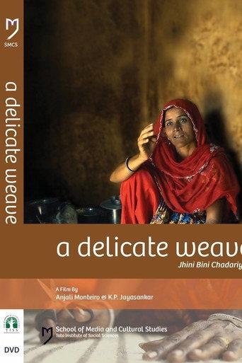 A Delicate Weave (2007) poster