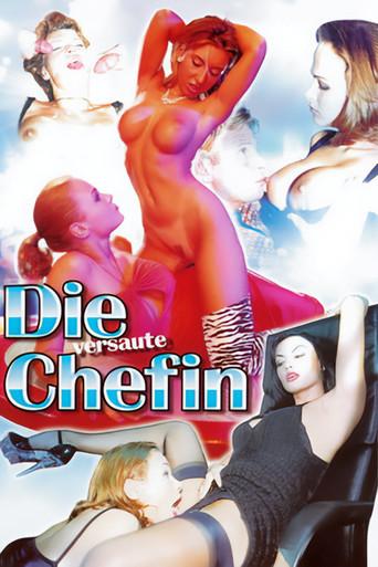Die versaute Chefin (1999) poster